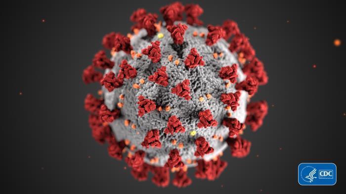 CDC image of microscopic virus