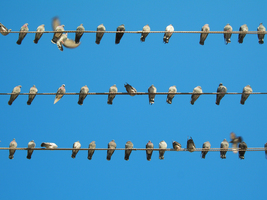 Recognizing the Importance of Equity